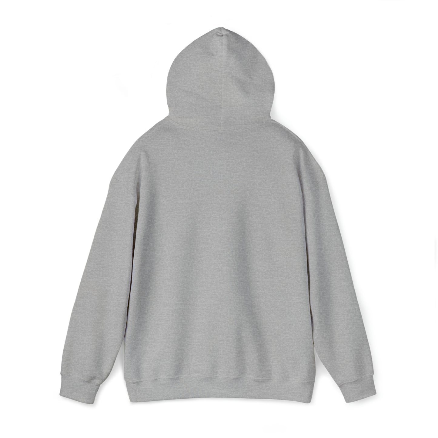 Hola Mis Amores Hoodie